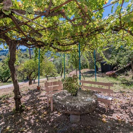 Amalia Country House Ano Yerakarion Luaran gambar